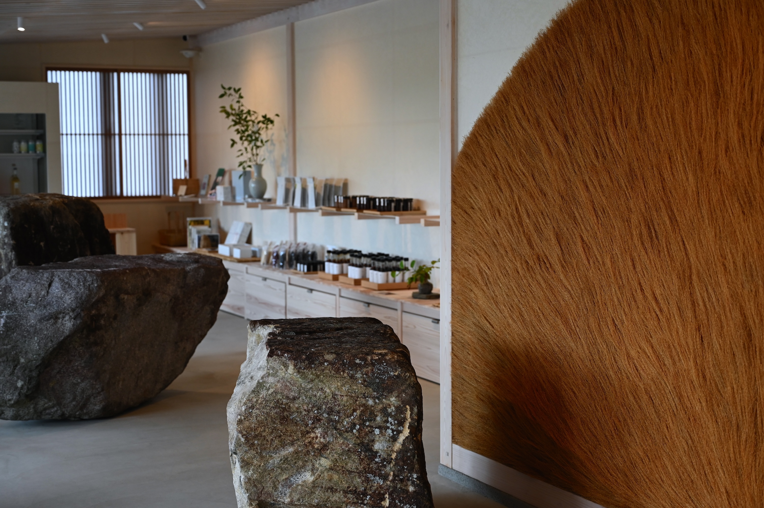 コンセプトストア内